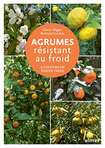 AGRUMES RÉSISTANT AU FROID