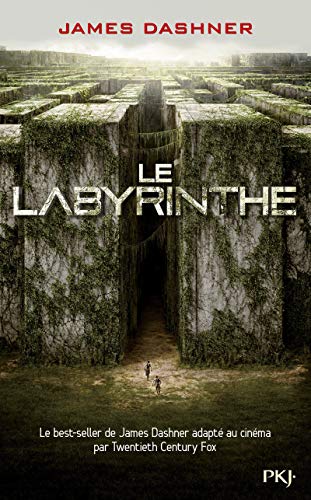 LE LABYRINTHE - TOME 1 - LE LABYRINTHE (L')